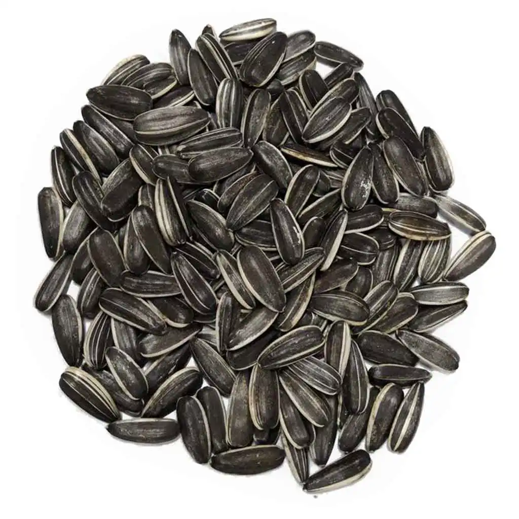 High Quality Sunflower Seeds Market Price with Export Sunflower Seeds