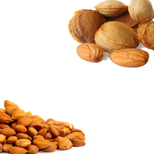 Apricot Kernel | Rich in Natural <strong>Oil</strong> for Cosmetic Use - Product Image 1