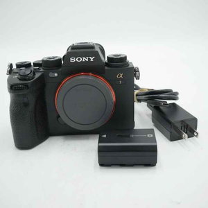 Alpha A1 50.1 MP Mirrorless dijital kamera-Interchangeable Lens için en iyi teklif yeni orijinal - Product Image 5