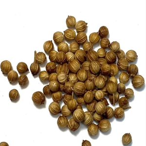 Düşük fiyatlarla toplu ihracat için mevcut mutfak kullanımı için otantik baharat sınıfı taze ham kişniş - Product Image 4