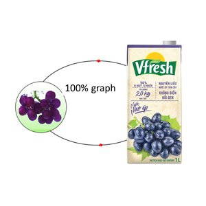 Vinamilk-Vfresh-グレープジュース-1L x 12ボックス-GMP、HALAL、ISO、FSSC、HACCP-OEM利用可能-カスタマイズ - Product Image 4