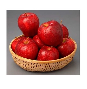 新鮮なフルーツリンゴを最安値でまとめ買い - Product Image 4