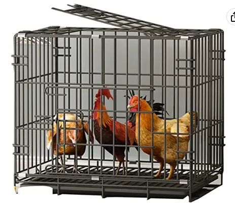 الحيوان الدواجن منزل مزرعة تصميم نظام البيض طبقة قفص للدجاج ل الفراريج و الطفل الفراخ بأسعار الصين تصنيع