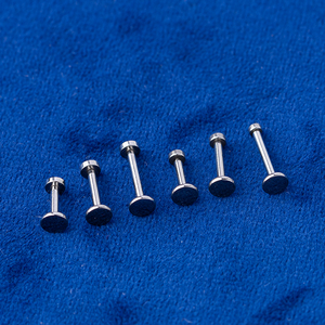 16G çift düz uç dişsiz itme pimi Labret titanyum - Product Image 5