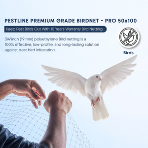 PESTLINE Filet pour oiseaux PRO 50x100 Solution plastique de qualité pour une infestation efficace et durable des oiseaux nuisibles - Product Image 6