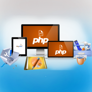 Hindistan'da en iyi PHP web ve uygulama hizmetleri | Hindistan'da en iyi PHP web ve uygulama hizmetleri-Protolabz eServices
