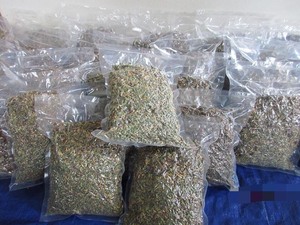 Kurutulmuş erkek PAPAYA çiçekler/geleneksel ot/sağlık yararları dolu/düşük maliyetli/vietnam'da yapılan - Product Image 6