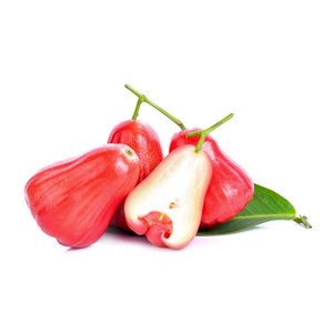 Rose <strong>apple</strong> 100% High Quality Ready to Export Fresh Style GlobalGAP Grade Vietnam - Product Image 3
