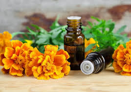 タゲテスオイル100% 純粋で高品質のタゲテスオイルISO認証EssentialOil Therapeutic <span class=keywords><strong>Tagetes</strong></span>オイルバルク輸出業者インドから