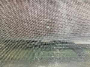 Redes de plástico agrícola de HDPE de 50 mallas duraderas para Protección Vegetal, insectos, moscas, abejas, pulgones, control cortado a medida disponible - Product Image 6