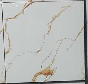 60x60cm厘米优质低价室内室外地板釉面瓷砖印度制造