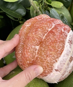 Top Quality Natural Green Skin <strong>Pomelo</strong> with Red Flesh Sweet Taste Size 1.4-1.8 kg for Export Origin Vietnam - Product Image 3