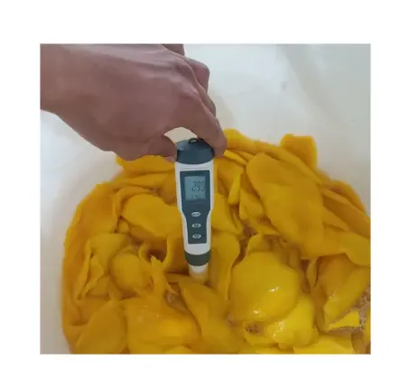Mangue douce séchée naturelle à la mangue séchée sans additifs sans conservateur, produits vietnamiens de haute qualité