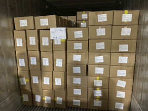 小売パックの輸出ボックスとフルーツスナックの概念にさまざまなカットで提供されるソフトドライマンゴー - Product Image 6