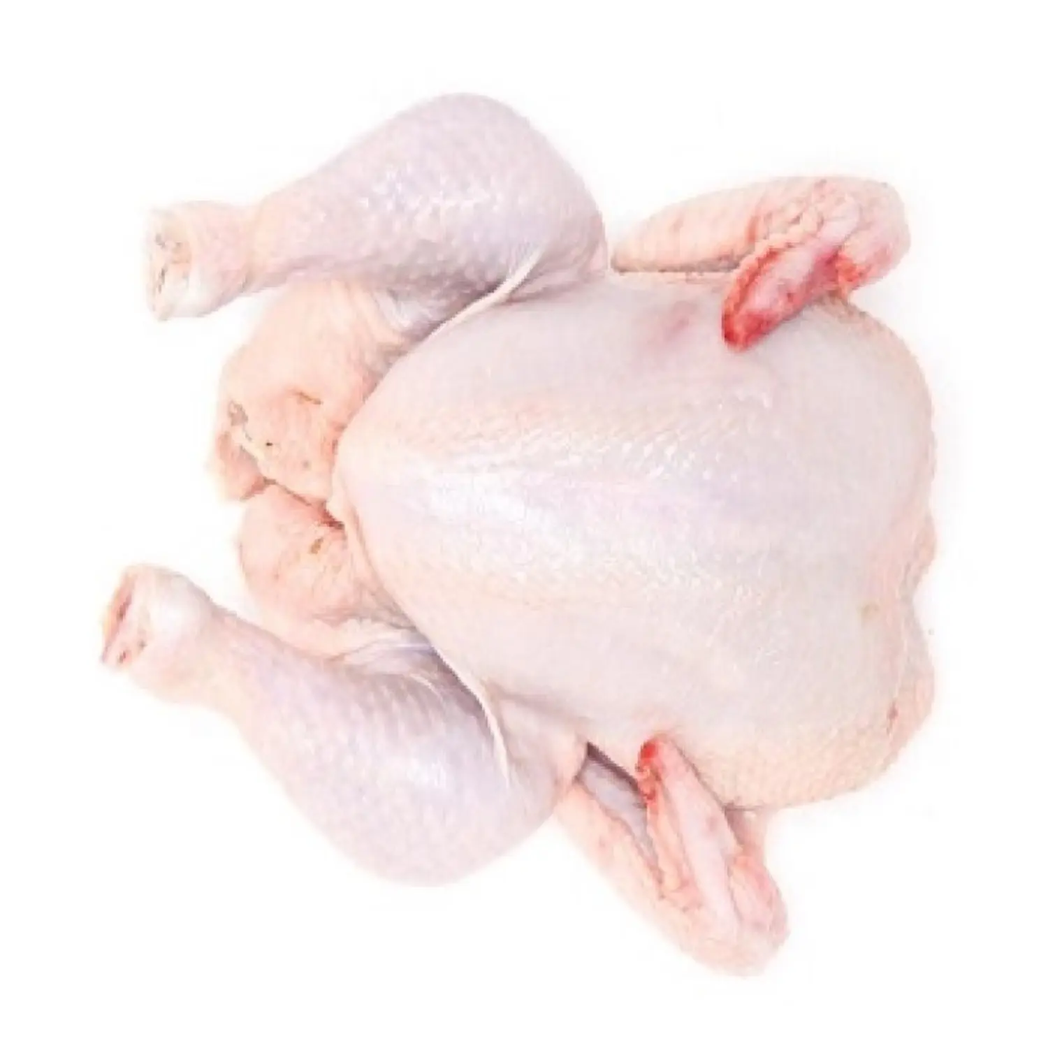 Poulet entier congelé halal et parties de poulet, gésiers, cuisses, pattes, pilons, bas prix