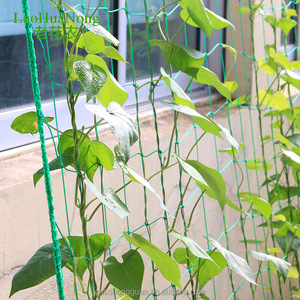 Garden <strong>Trellis</strong> <strong>Netting</strong> Plants Climbing <strong>Net</strong> UV Treated Polyethylene Vegetable Planting <strong>Net</strong> for Cucumber Grape Bean - Product Image 2