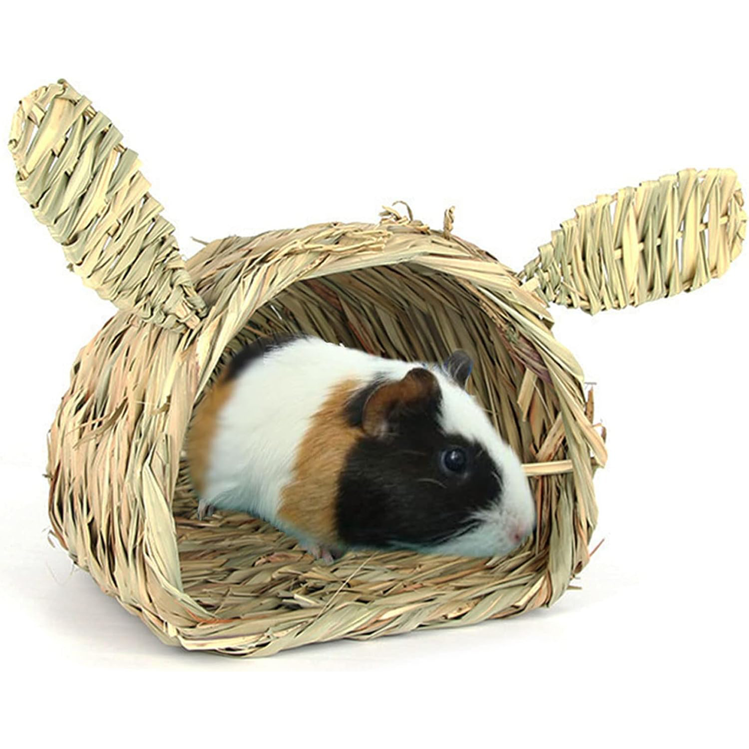 ธรรมชาติ