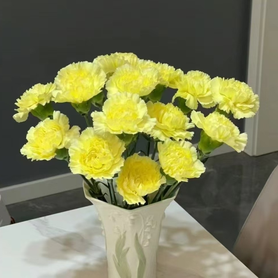 Clématite jaune
