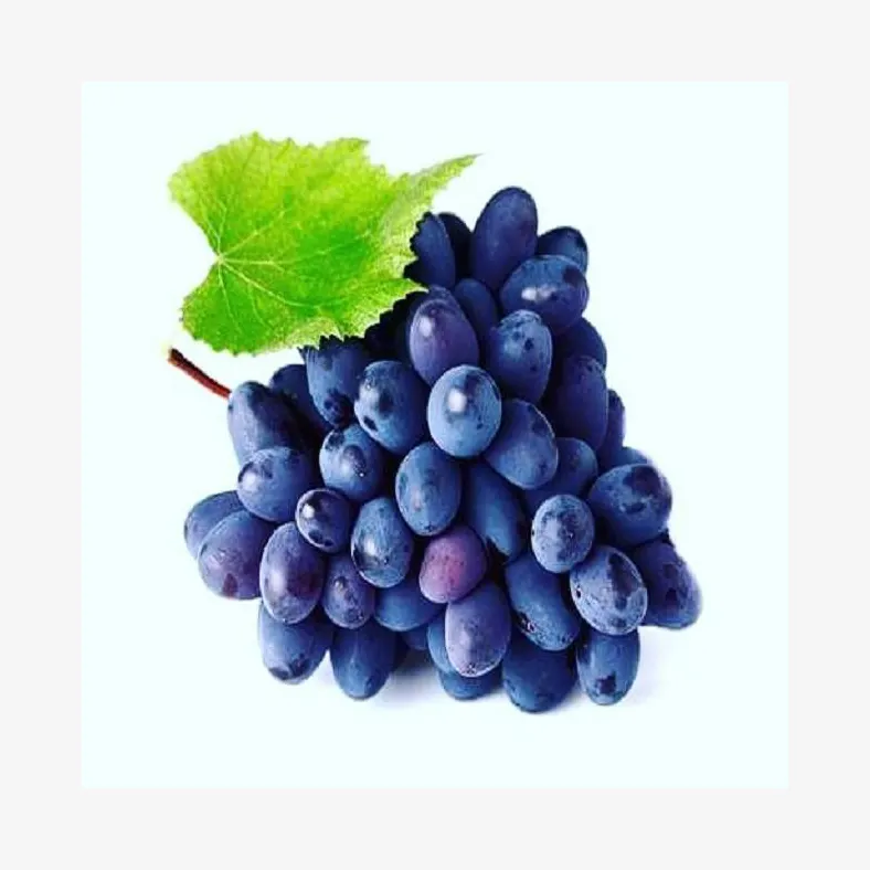 Güzel şarap iyi üzüm ile başlar yüksek tatlı taze parlaklık Muscat üzüm doğal çekirdeksiz yeşil üzüm zengin vitaminleri ile üretilen