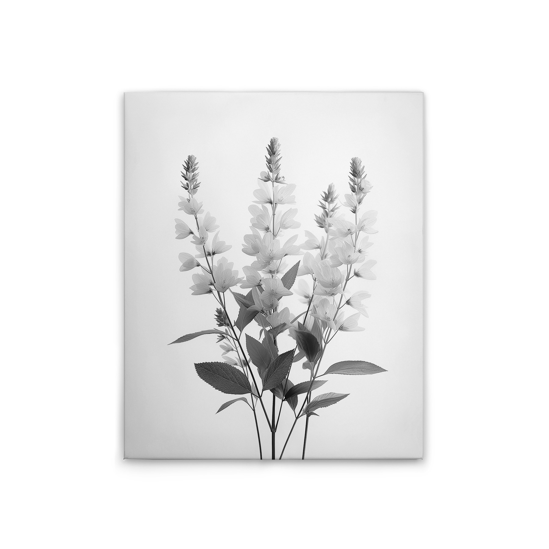 Noir, Gris, Blanc