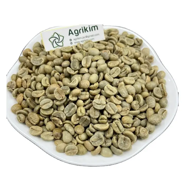 Hochwertige grüne Kaffeebohnen aus Vietnam Trading Professional Discount für den Export von Massen mengen in alle Länder