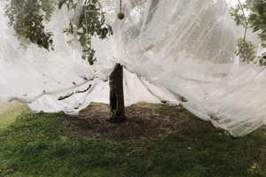 High-Efficiency Plastic <strong>Net</strong> for Orchard Protection <strong>Essential</strong> Anti-hai <strong>Net</strong> &amp; Sun Shield Against Insects &amp; Birds - Product Image 6