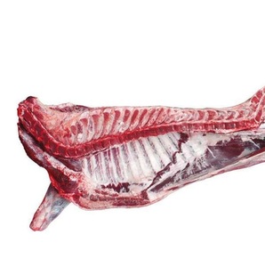 Toplu tedarik Buffalo kemiksiz et/dondurulmuş sığır inek eti keçi eti mevcut - Product Image 4