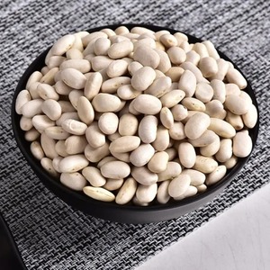 Üst sınıf kuru fasulye toptan ucuz fiyat yüksek kaliteli ürün satın ucuz koyu kuru fasulye uzun şekil böbrek - Product Image 4