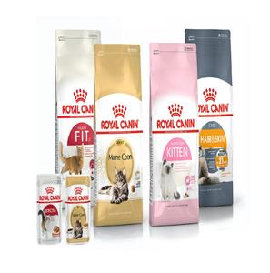 מוכר העליון royall canin 24-חבילות מזון גור רטוב 20 ק "ג מזון יבש חתול dachshund-דגים ללא תבואה-שקיות ארוזים moq 10 ק" ג