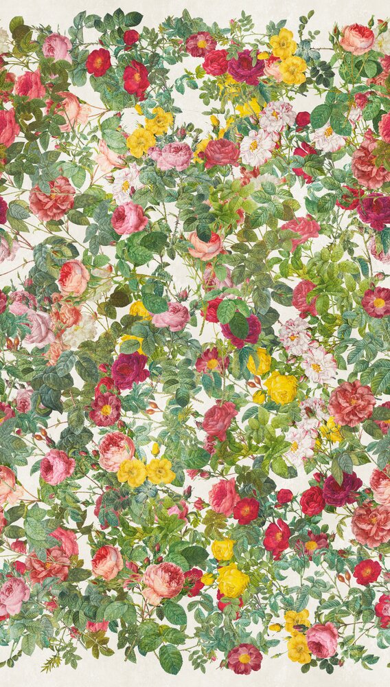 green pink red yellow