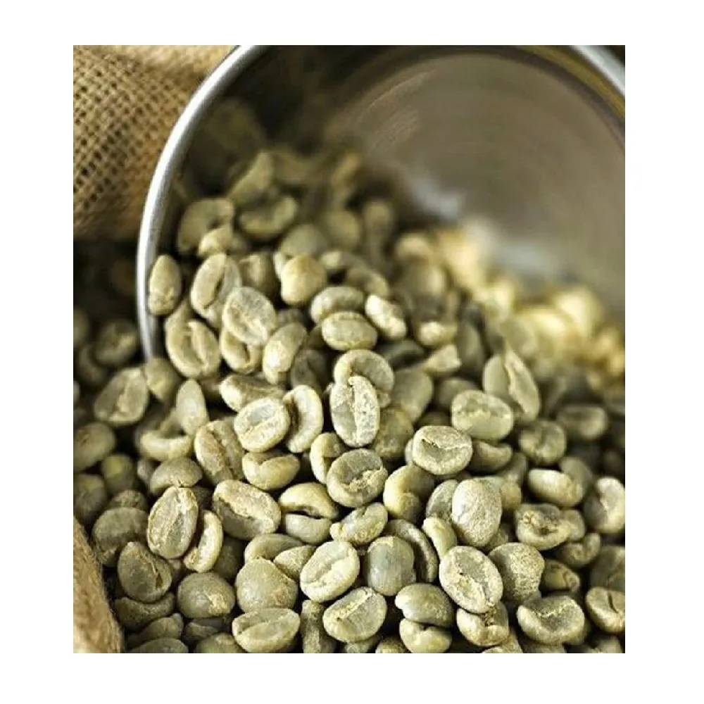 도매 대량 베트남 아라비카 커피 콩 100% 천연 녹색 커피 콩 남아프리카 농업 식품에서 마시는