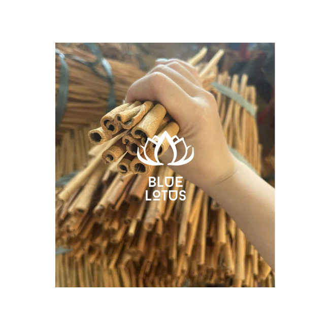 节日工艺品香味肉桂棒乡村装饰DIY项目杂烩和礼品展示创意 - Product Image 1