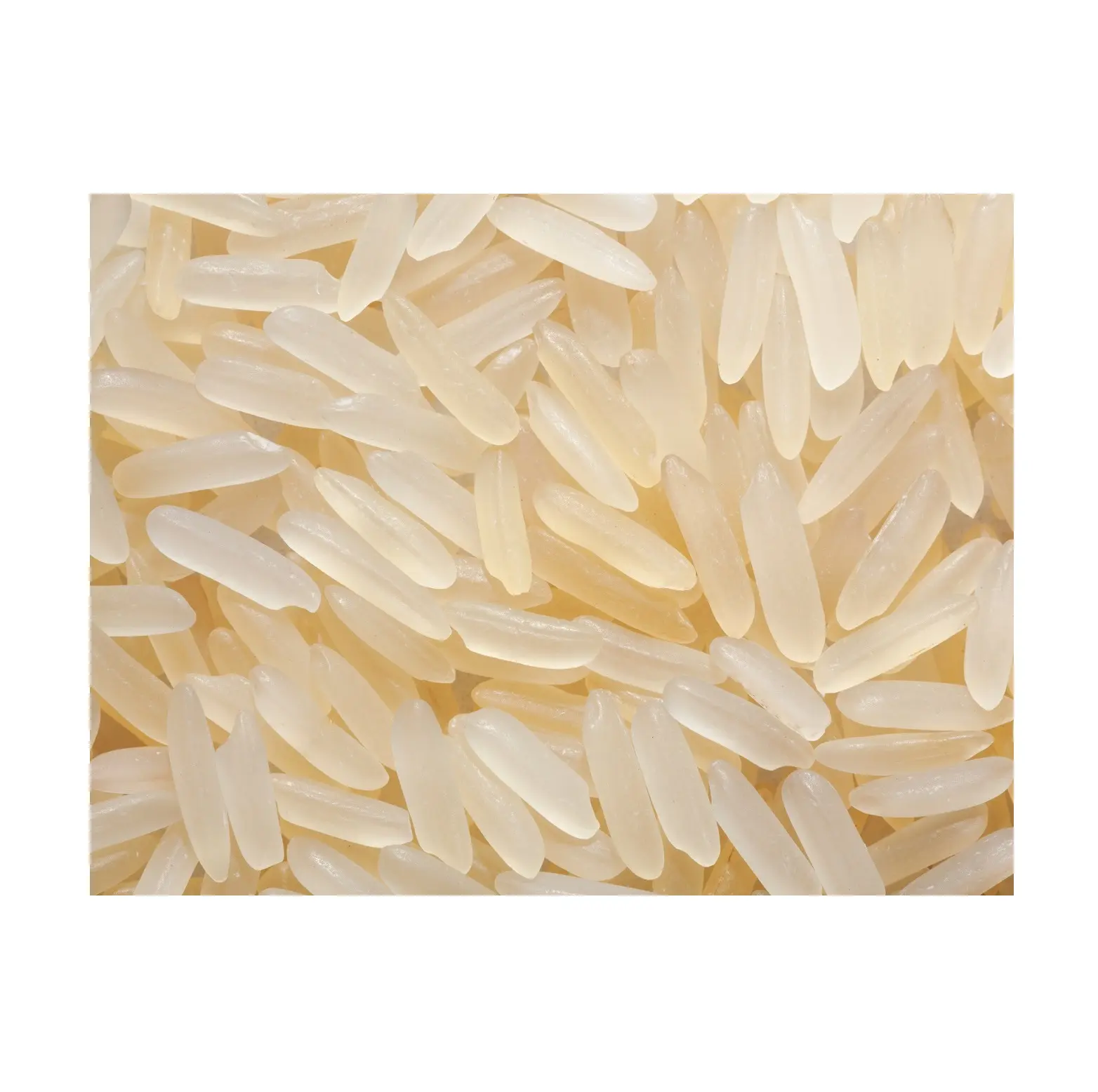 Riz blanc 5% cassé de Thaïlande riz étuvé/riz à grain long