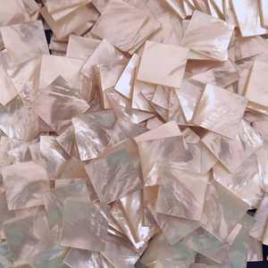แผ่นเปลือกหอยมุกขัดเงาทรงสี่เหลี่ยมราคาดีที่สุดสำหรับแผ่นเปลือกหอยมุก - Product Image 6