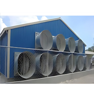 Kế hoạch xây dựng trang trại gia cầm Gà trang trại nhà để 10000 gà chuồng gà thương mại - Product Image 2