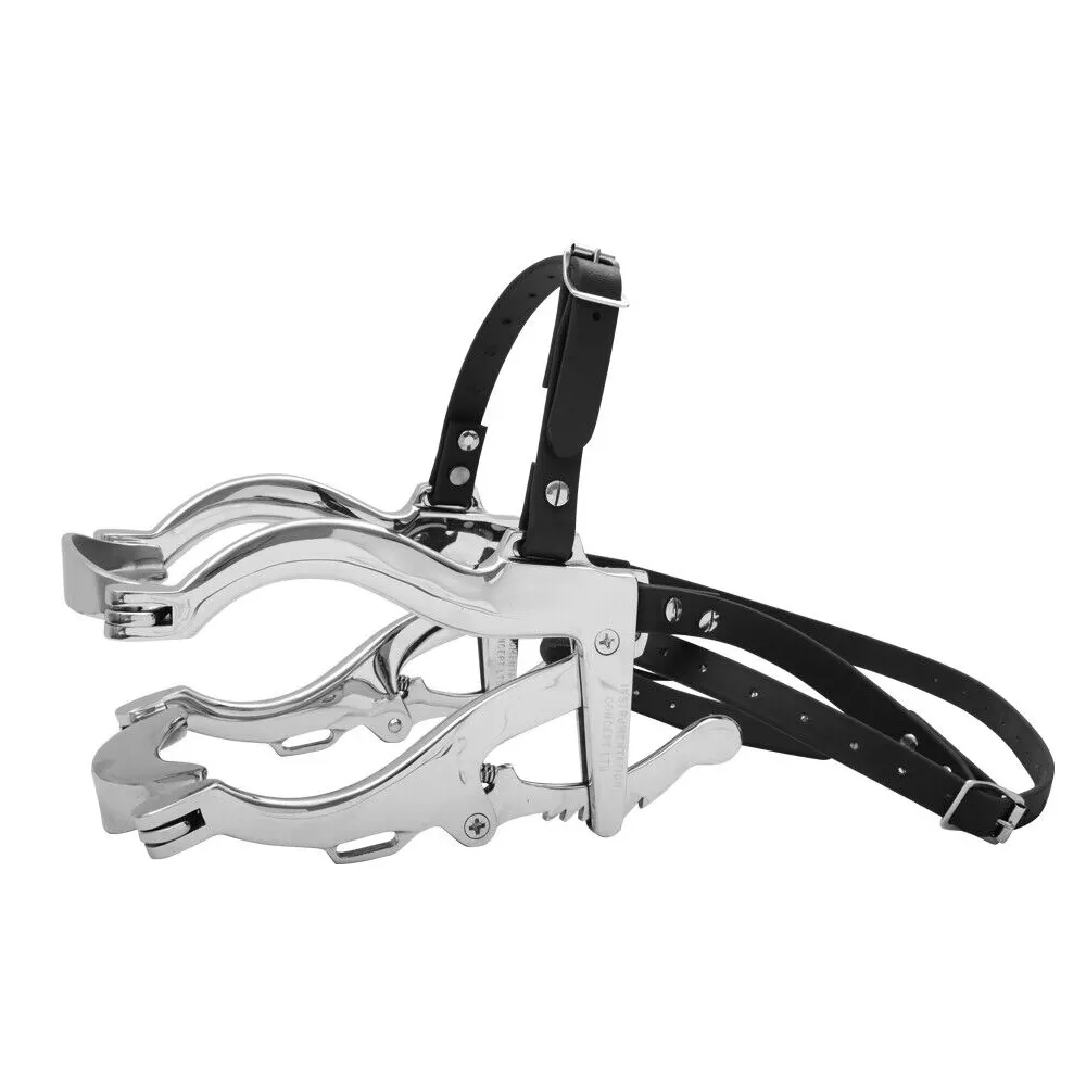 Instrumento de cuidado de uso de caballo de alta calidad para instrumentos dentales espéculo de caballo SE espéculo de acero inoxidable