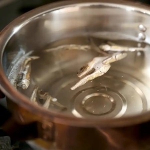 魚の切り身乾燥イワシ売れ筋の素晴らしい完璧なシーフード価格