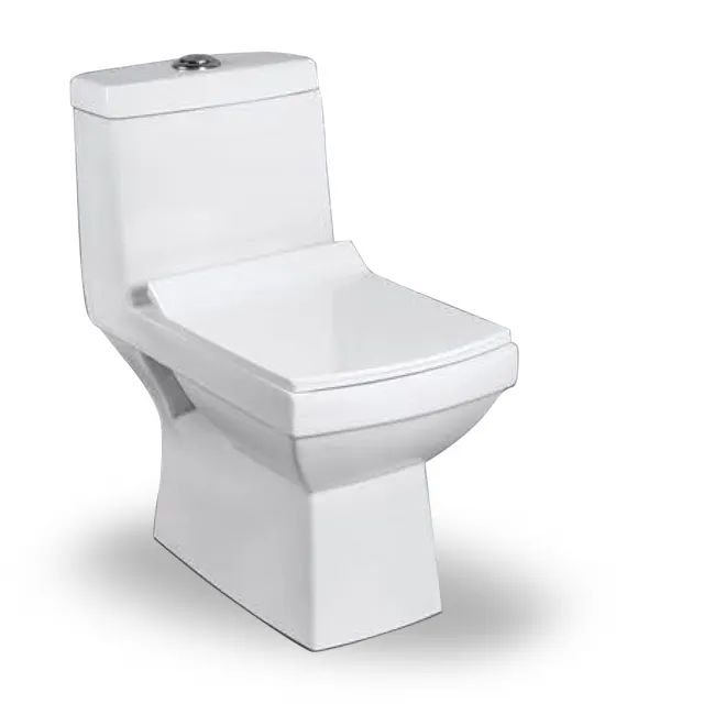 Primo ultimo Design Combo-102 dimensioni Standard 630x350x710mm sanitari bagno ceramica WC Set di un pezzo WC
