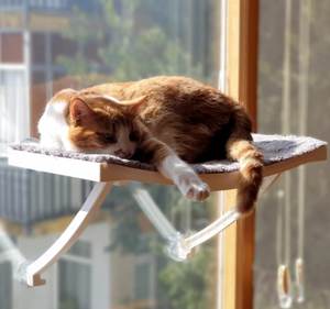 2025モダンデザインプラスチックPECH猫窓ベッド大容量強い家具脚付きバスルーム用途 - Product Image 1