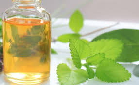Atacado Fábrica Fabricação Preço a Granel de <span class=keywords><strong>Catnip</strong></span> Óleo Essencial Certificado ISO e Orgânico Premium Alta Qualidade <span class=keywords><strong>Catnip</strong></span> Oil Índia