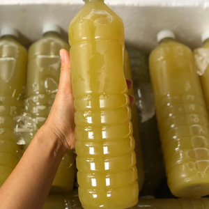 Frozen Sugarcane <strong>Juice</strong> Natural Healthy Sugarcane <strong>Juice</strong> Concentrate in Frozen Bottles <strong>250ml</strong> for Export ANGLE