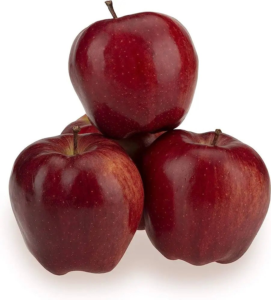 Rabatte Verkauf von frischen grünen Oma Smith Äpfeln/frischen roten Fuji Äpfeln/Royal Gala/Red Delicious