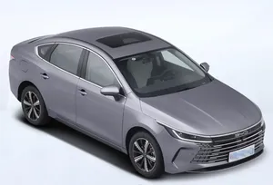 2025 byd משחית 05 המכונית הנוכחית מכונית קומפקטי המחיר הוא סופר נמוך