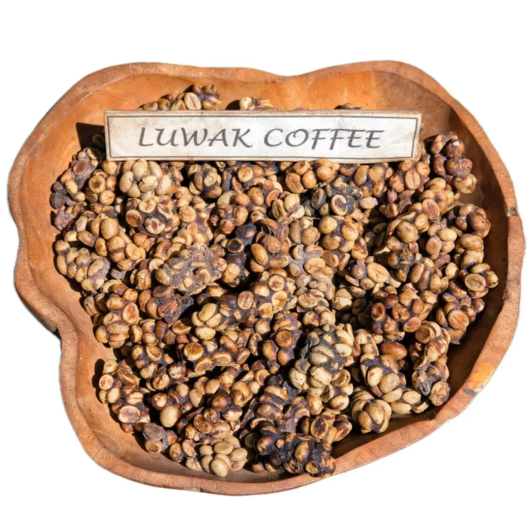 Civet Kopi Luwak yeşil kahve endonezya/vahşi kahve Luwak kahve çekirdekleri fiyat/Kopi Luwak kahve çekirdekleri satılık