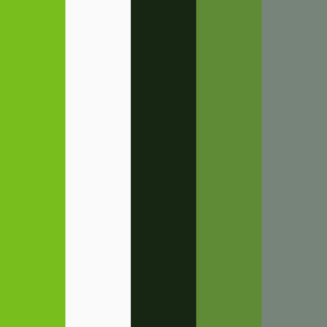 Green | Black | Silver | Other