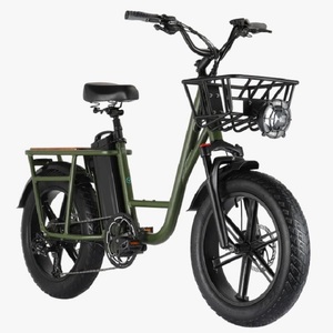 En iyi satış 2024 Fiido X yeni katlanır elektrikli bisiklet 250-350W - Product Image 2