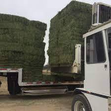 High Quality Timothy Hay Dried Alfalfa Hay for Animal Feed for Cattle Horse Pig Other Animals Packaged <strong>in</strong> Bales or <strong>Bags</strong> - Product Image 4
