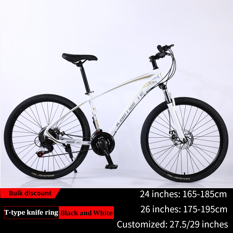Moutain Bike 17