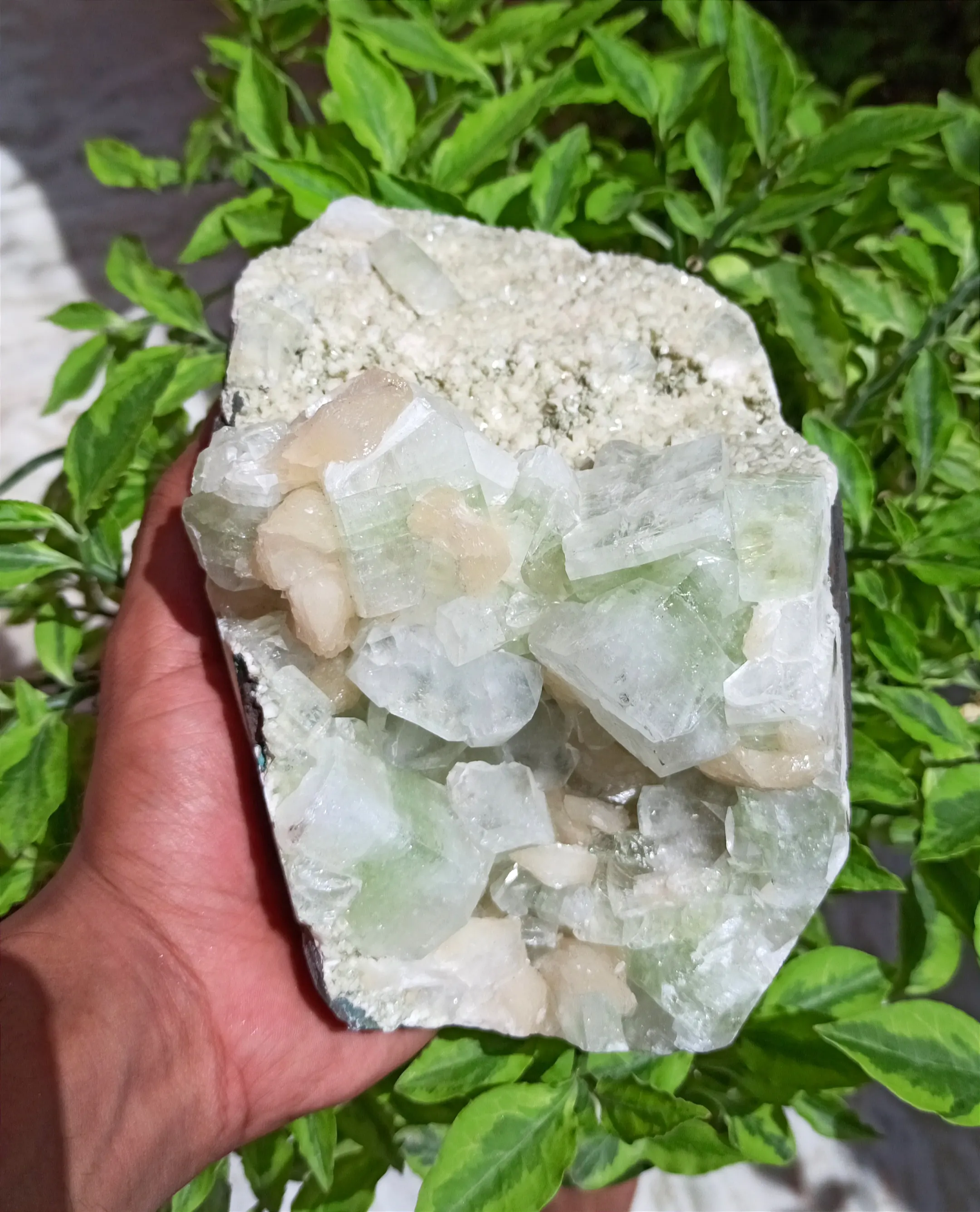 Natural Apophyllite Crystal Cluster minerais Atacado Cluster para venda Natural Apophylite verde rosa