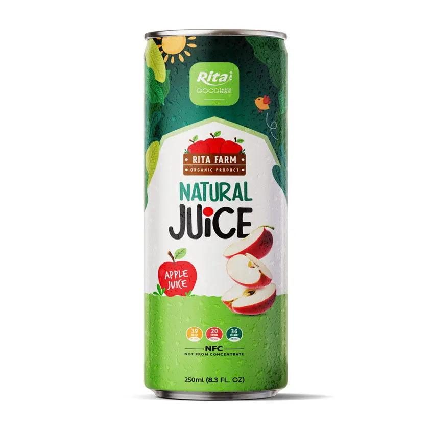 Wholesale Apple Fruit Juice 250ml Canned RITA OEM Manufacturer Beverages From Vietnam Soft Drink
